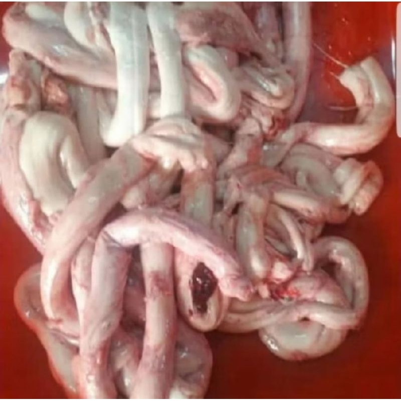 

Otot Sapi Lokal 500gr