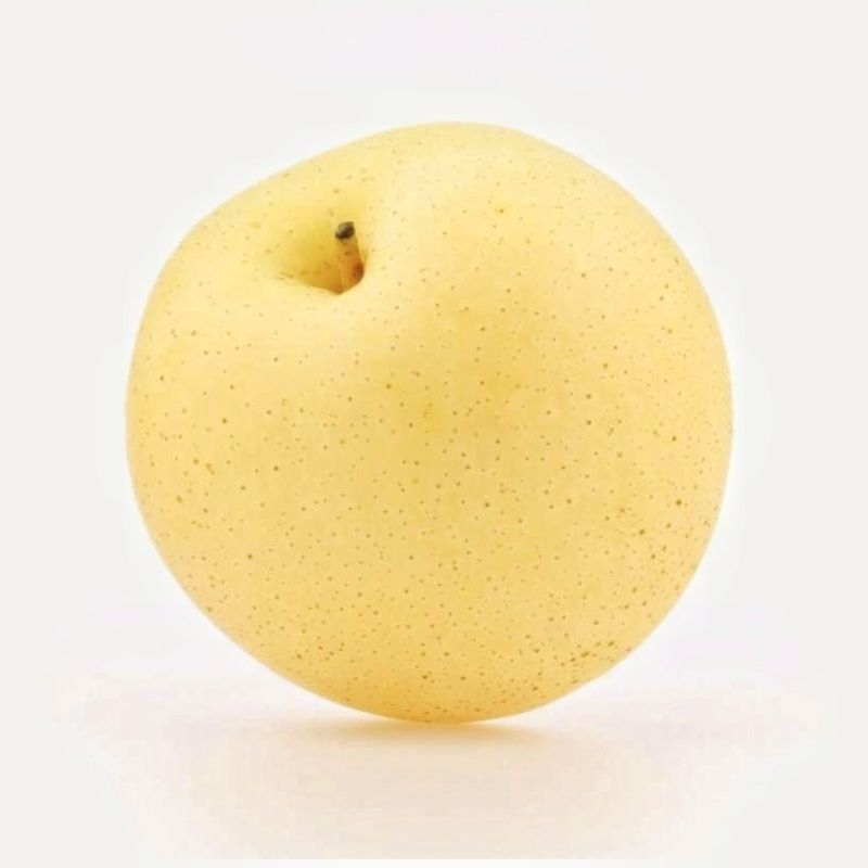 

pir golden pohon per PCS