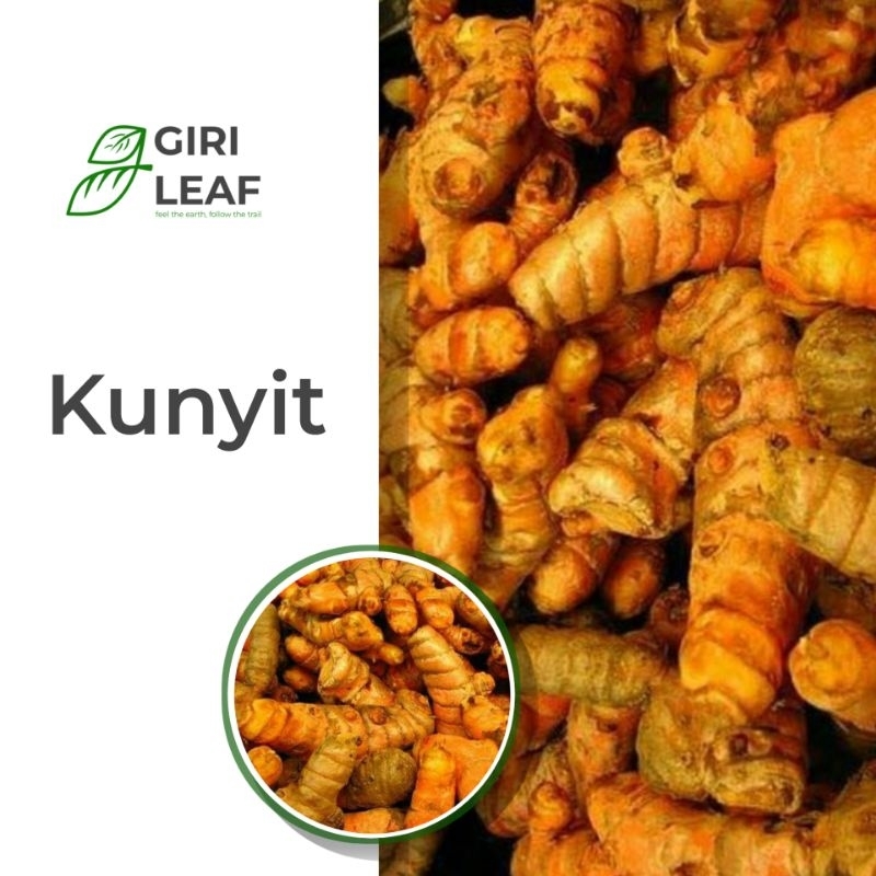 

Kunyit 250gram