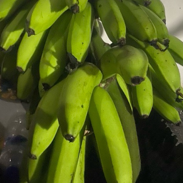 

Buah Pisang Matah G Ach Hijau 500 Gram Pisang Mentah