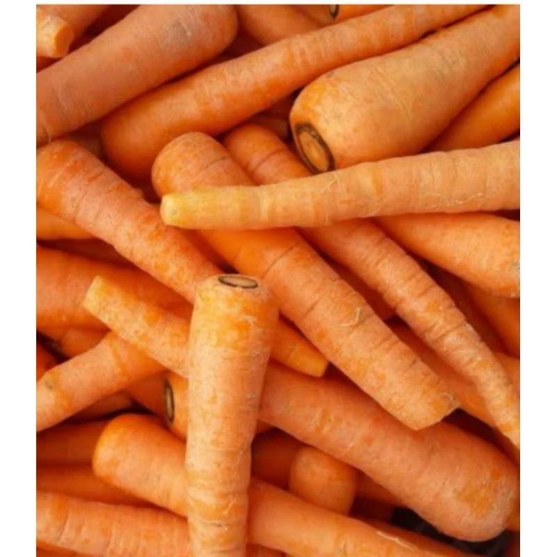 

(SEGARI HOUSE) Wortel Lokal Fresh 250gr / 500gr