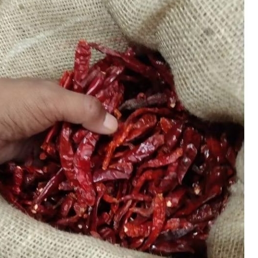 

cabe kering India 500gr tanpa tangkai