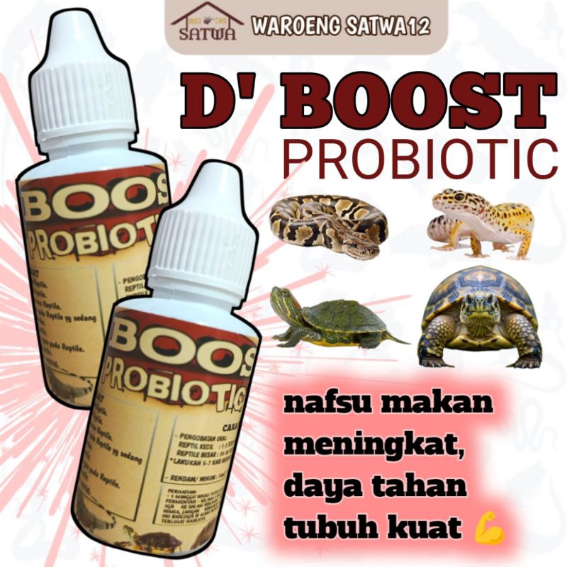 DBOOST PROBIOTIC vitamin reptile obat pencernaan kura darat tortoise sulcata pardalis aldabra instar