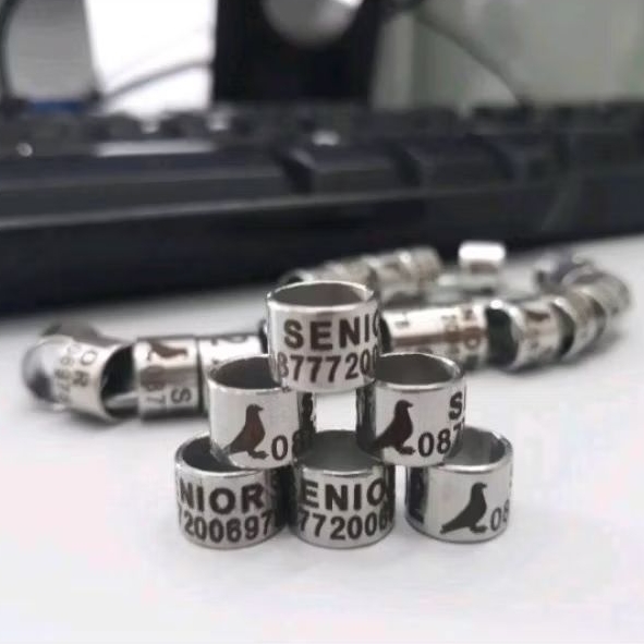 Ring burung merpati bisa reques nama model baja laser Ring burung laser baja