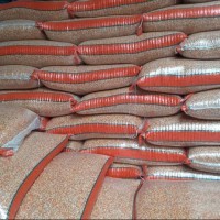Termurah Khusus 1 Karung / 25 Kg Jagung Kristal Crystal Pecah Pipil Merah Manggis Menir Benih Kecil 