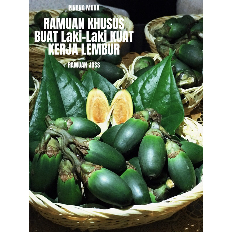 

Pinang Muda/Jambe muda isi 15