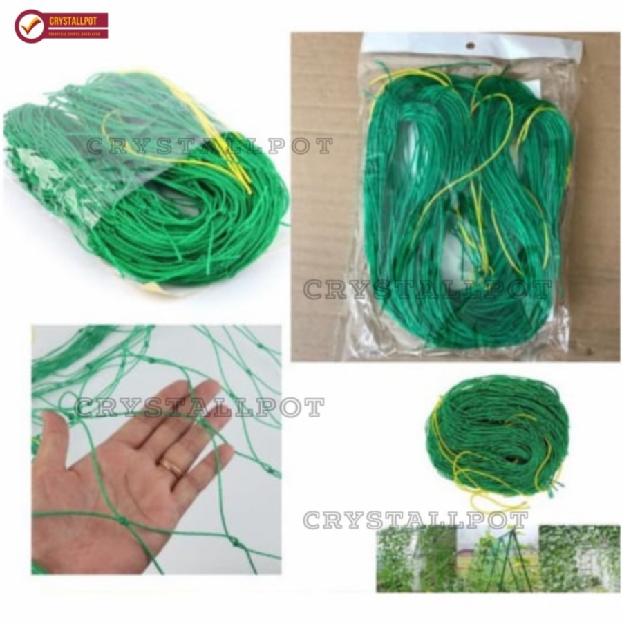 Jaring Tanaman sayur tanaman rambat cocok untuk tanaman rambat dirumah jaring tanaman hias rambat ja