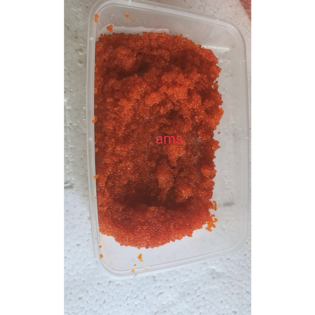 

Tobiko ( telur ikan terbang) flying fish roe