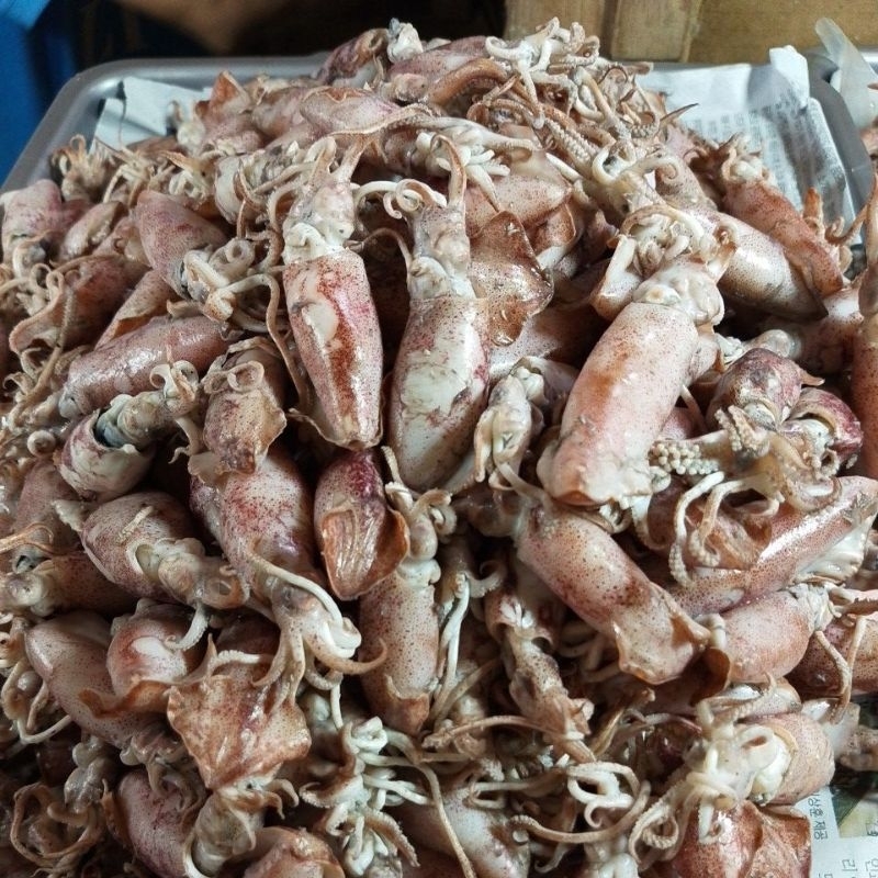 

cumi sotong asin ukuran besar 250gram