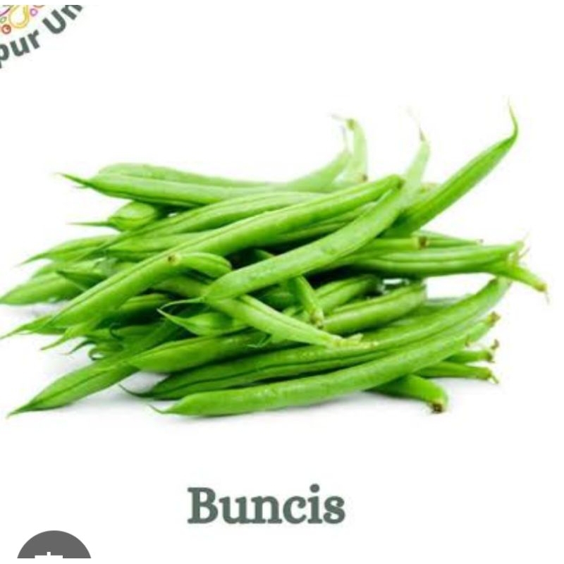 

buncis hijau segar fress 1kg