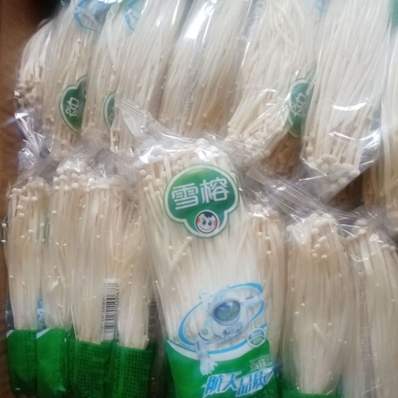 

jamur enoki 100g