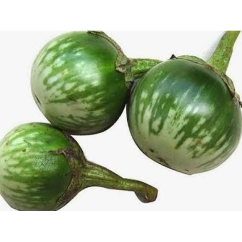 

terong lalap hijau segar fress 1kg