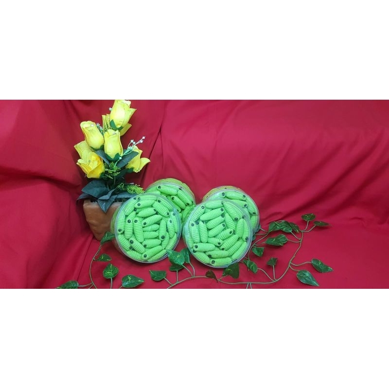 

kue ulat sagu pandan dan susu chocochip murah dan enak
