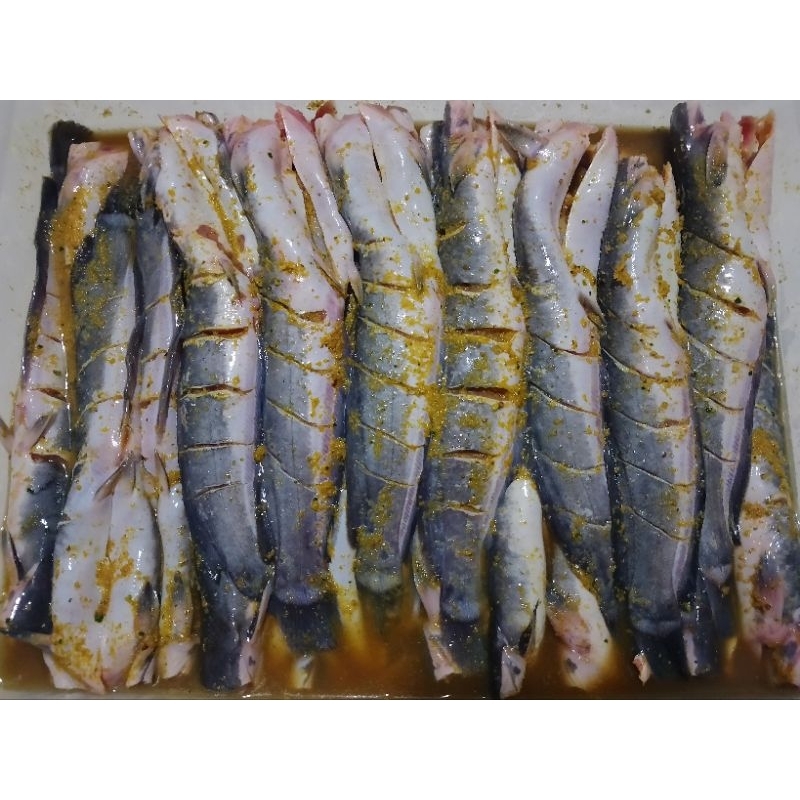 

Lele Bumbu Kuning / LeLe Marinasi Siap Goreng / Lele Frozen