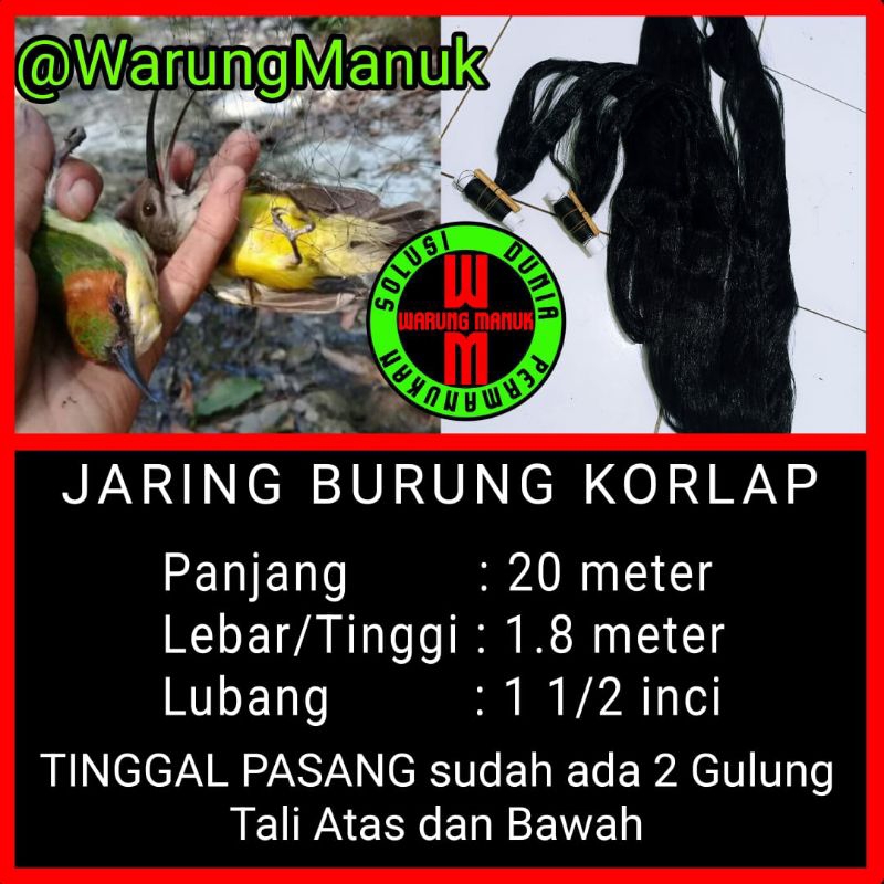 Jaring burung korlap 20 meter, jala burung korlap, jebakan burung korlap, jebakan burung kecil, jari