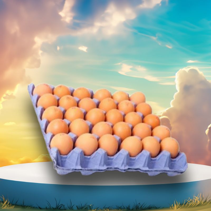 

TElUR AYAM & ITIK 1 RAK 30 BUTIR ( PENGIRIMAN INSTAN)