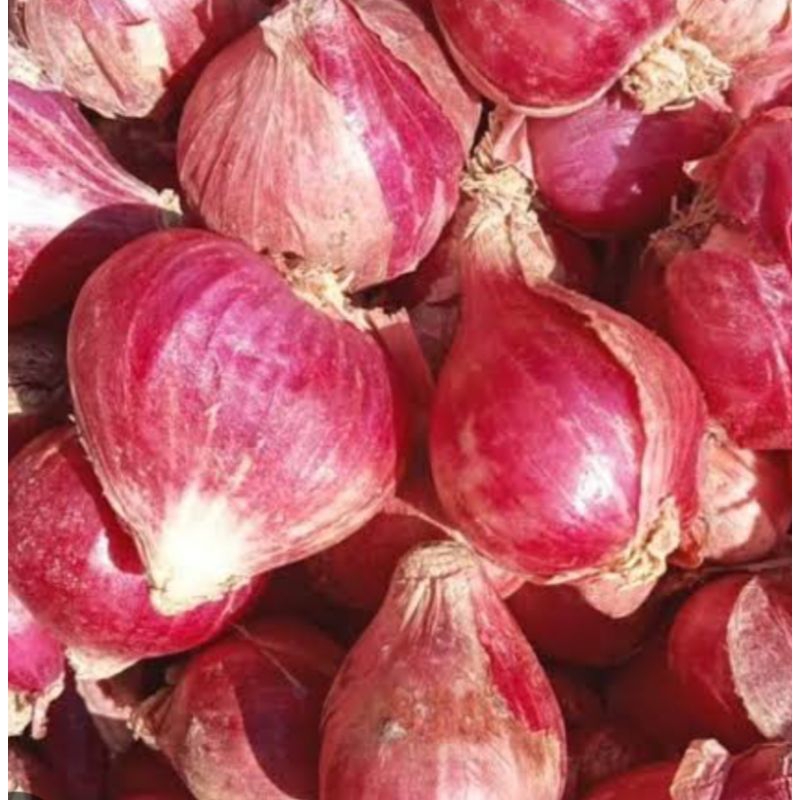

bawang merah Brebes besar seger fress 1kg