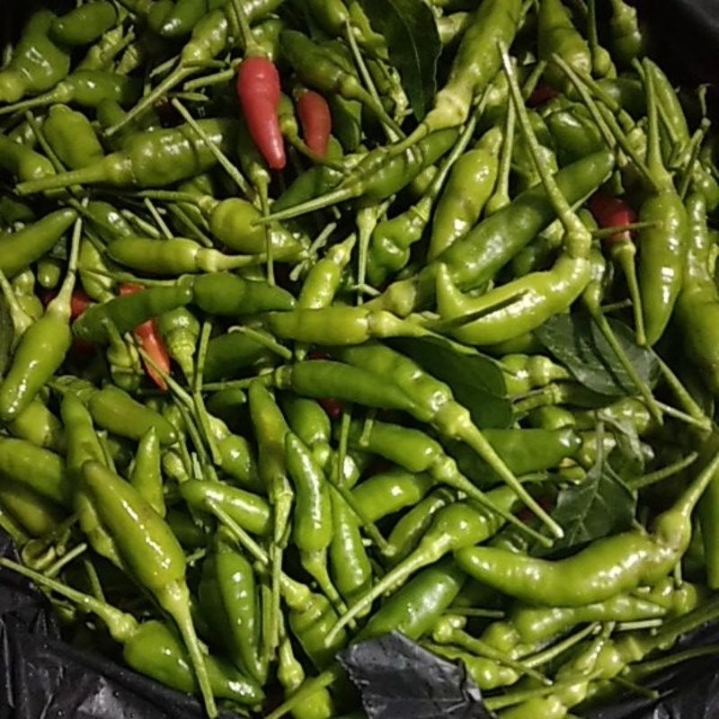 

cabe rawit gunung/250g