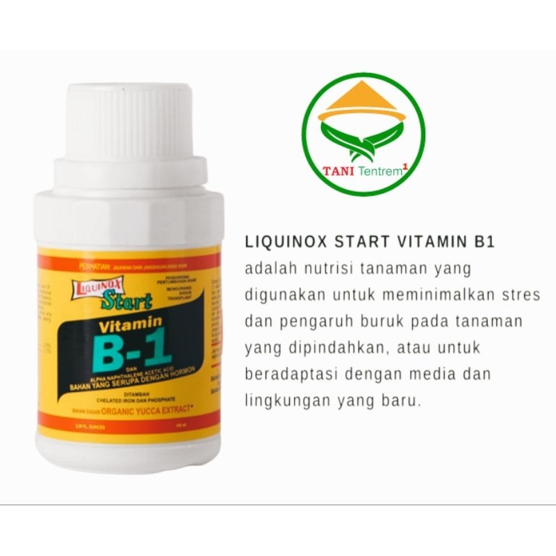 Pupuk Liquinox – START VITAMIN B1 100 ml
