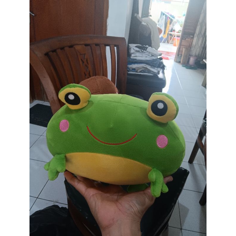Boneka Katak Miniso