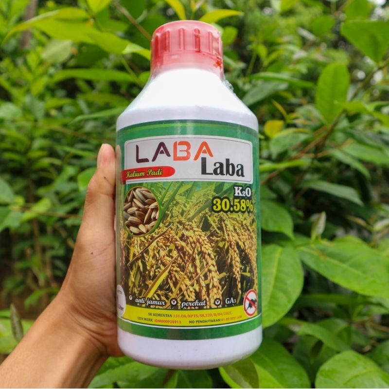 PUPUK PEMBESAR BUAH DAN UMBI KCL CAIR LABA LABA 1 LITER KCL PADI