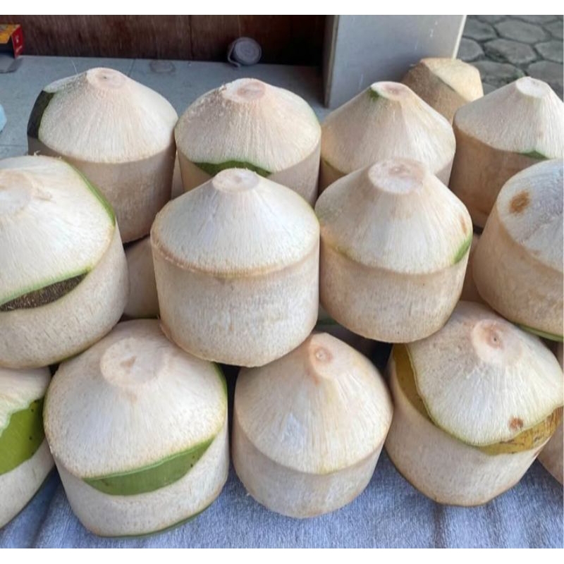 

kelapa muda kupas