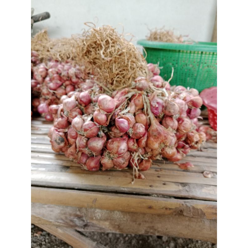 

bawang merah kecil. kering 1kg