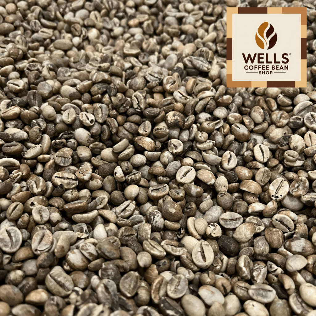 

PROMO EN BEAN BIJI KOPI MENTAH ROBUSTA LAMPUNG 3 - 1 KG