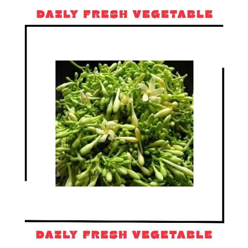 

Bunga Pepaya Fresh 1 Pack