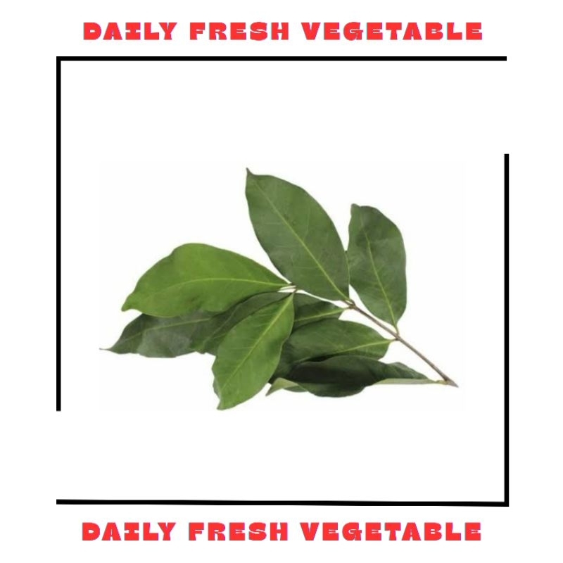 

Daun Salam Fresh 1 Ikat