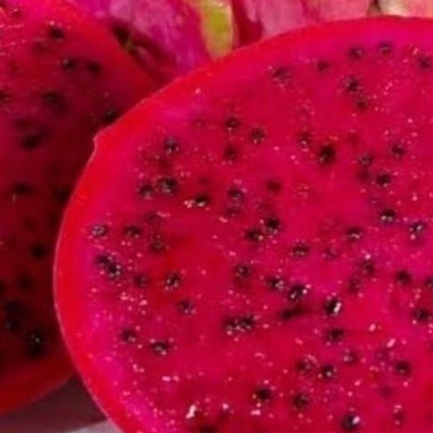 

Buah NAGA MERAH grade A/Dragon Red fruit perkilo