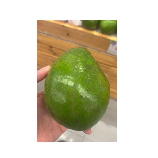 

Buah Alpukat Segar Premium