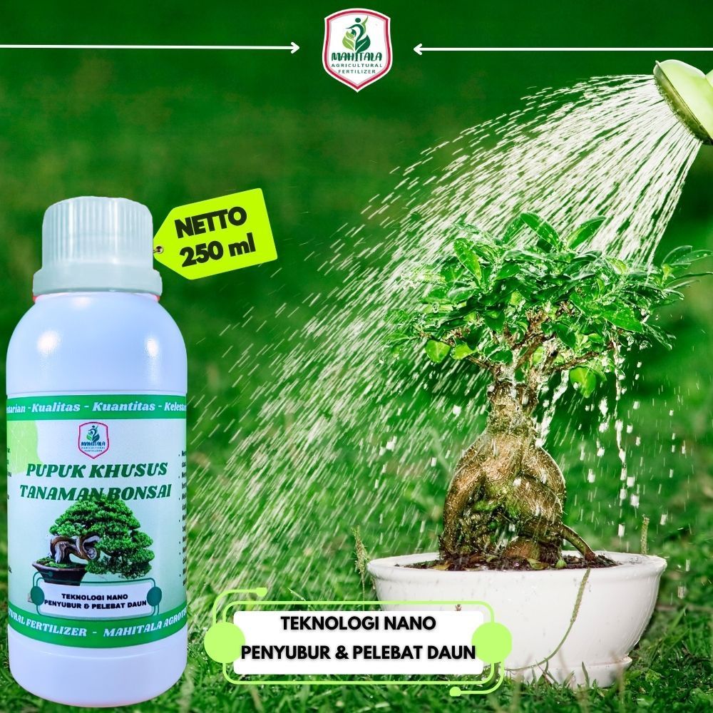 Raflezia Pupuk Khusus Bonsai Pemacu Dan Pelebat Perangsang Akar Batang Daun Bonsai Pupuk Penyubur