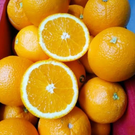 

Jeruk sankist 1kg l Jbp_Fresh
