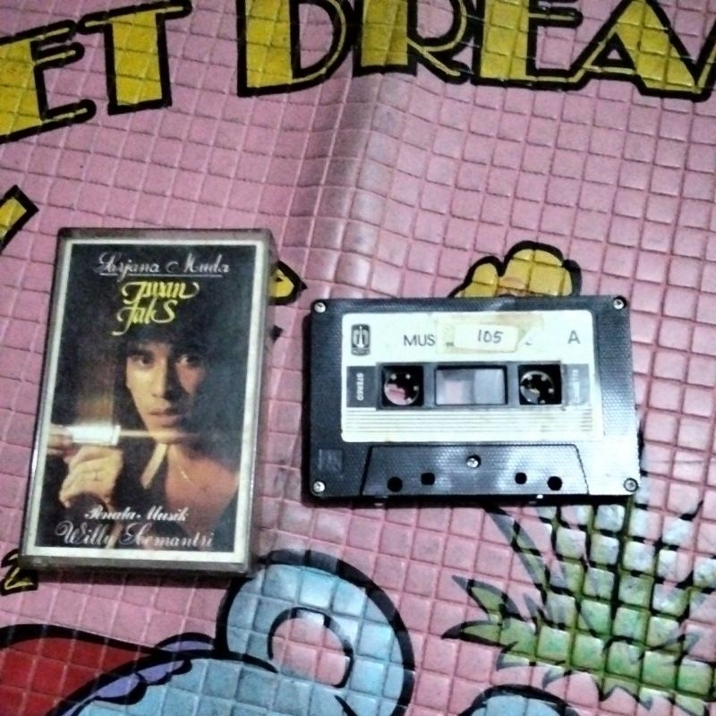 KASET PITA, IWAN FALS, SARJANA MUDA