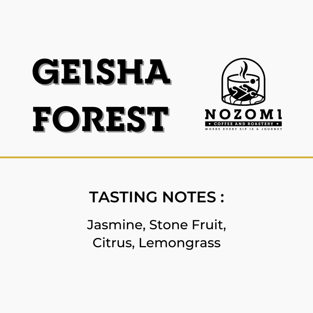 

Nozomi Coffee - Geisha Forest - Specialty Arabica Whole Beans 100 gram