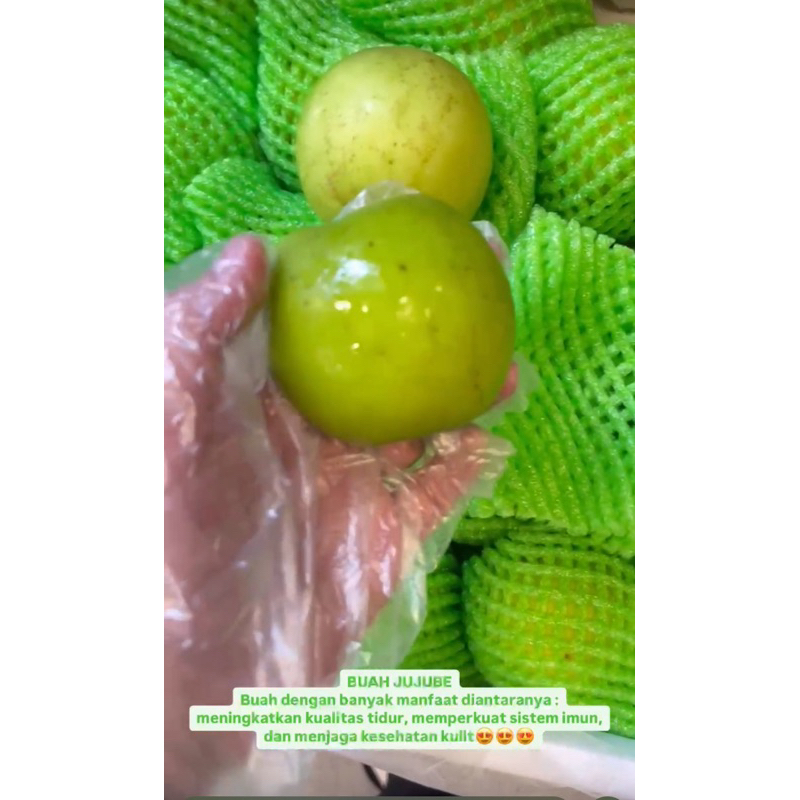 

Buah Jujube / Buah pear jujube green import manis