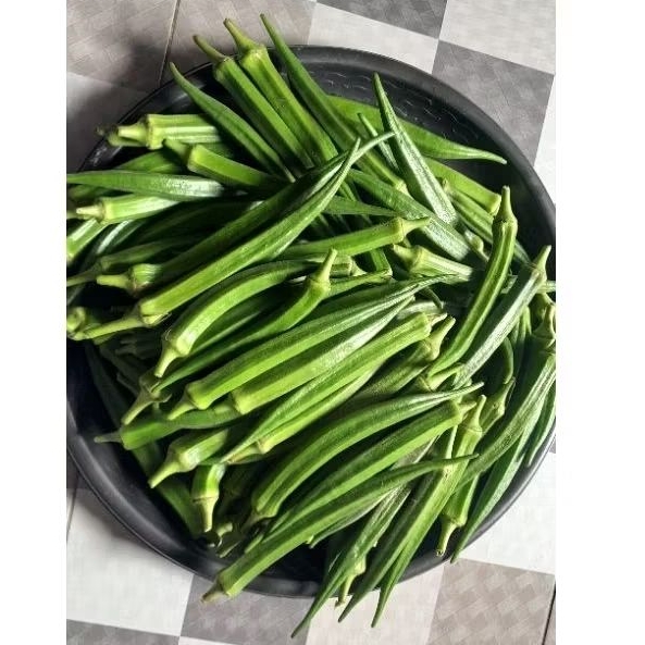 

SAYUR OKRA HIJAU SEGAR (KACANG BENDI)