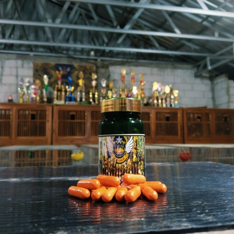 jamu plus stamina ayam