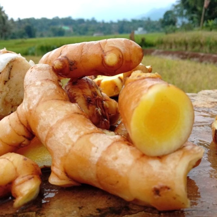 

kunyit mangga segar/temu mangga segar 1kg SEGAR