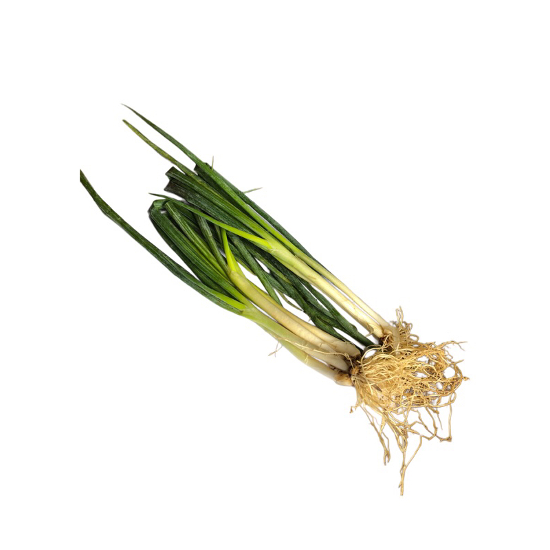 

Daun bawang
