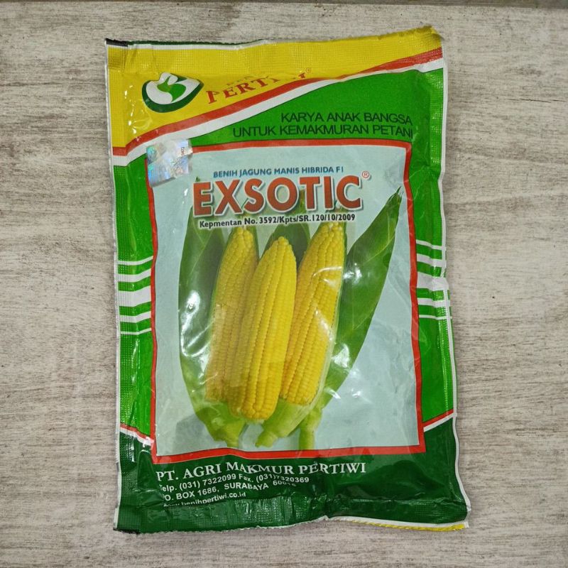 Benih jagung manis exotic pertiwi 1750 biji