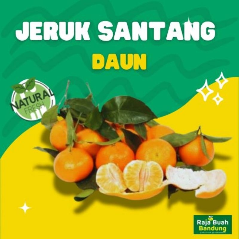 

Santang Daun