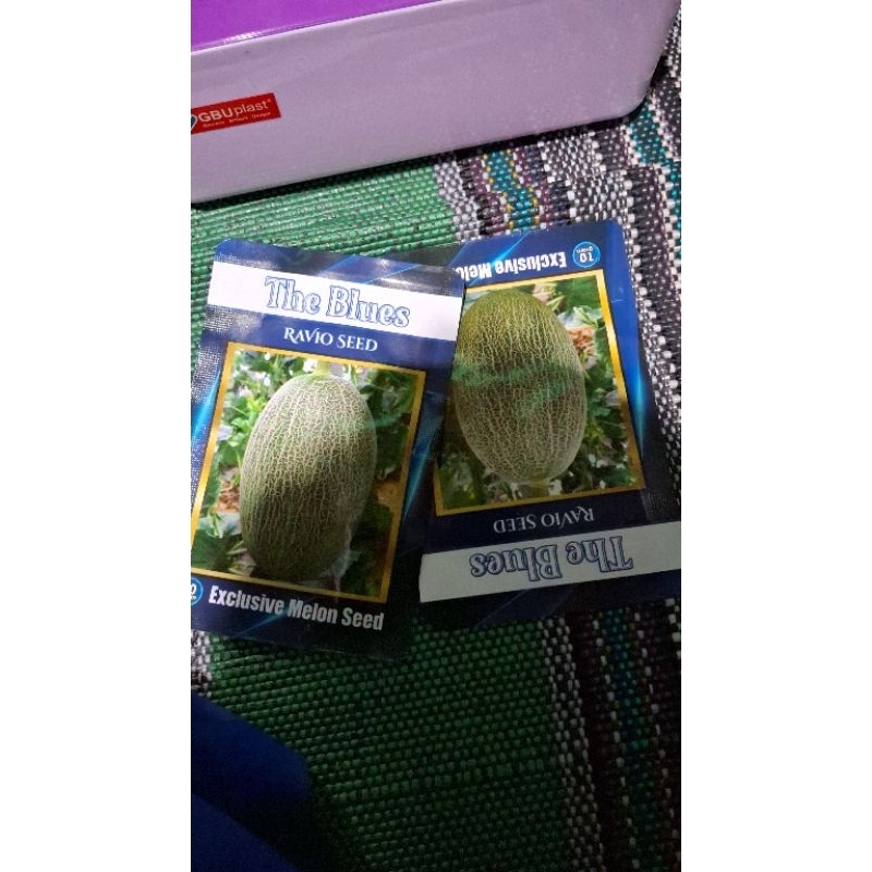 Benih Melon The Blues