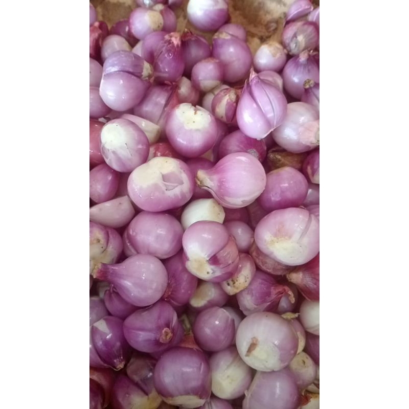 

sayur mayur bawang merah/berem kupas 250gr 500gr 1kg
