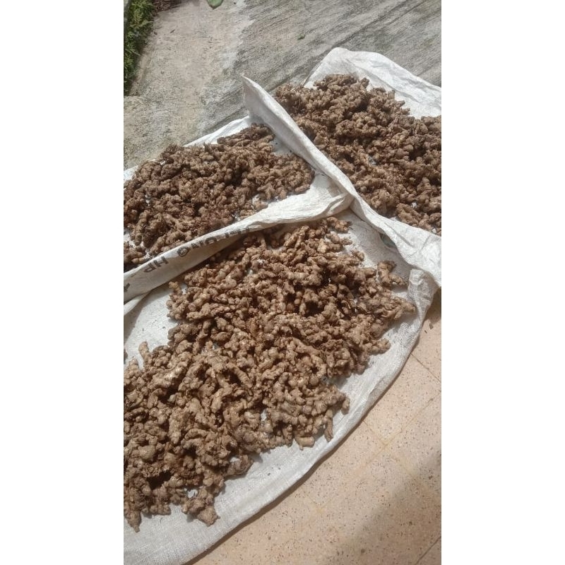 

jahe emprit segar belum cuci - herbal - obat - bumbu harga ½ kg