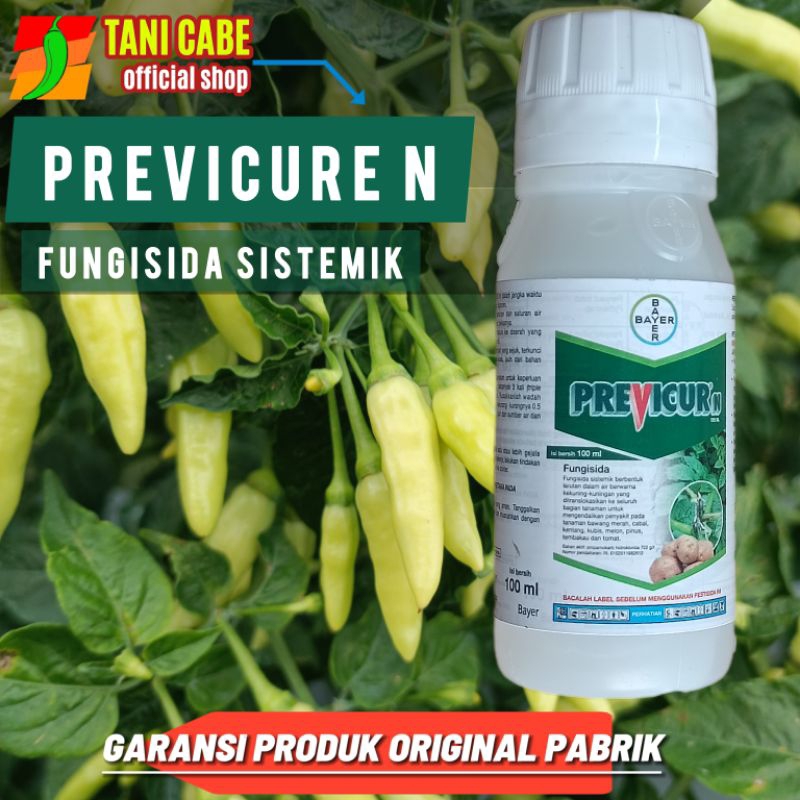 PREVICUR N - FUNGISIDA SISTEMIK 100 ML