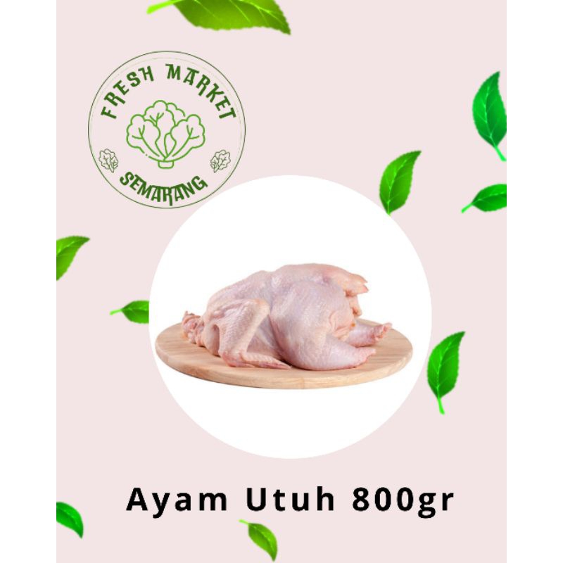 

[INSTAN] AYAM UTUH BERAT 800GR BISA REQUEST POTONGAN SEMARANG