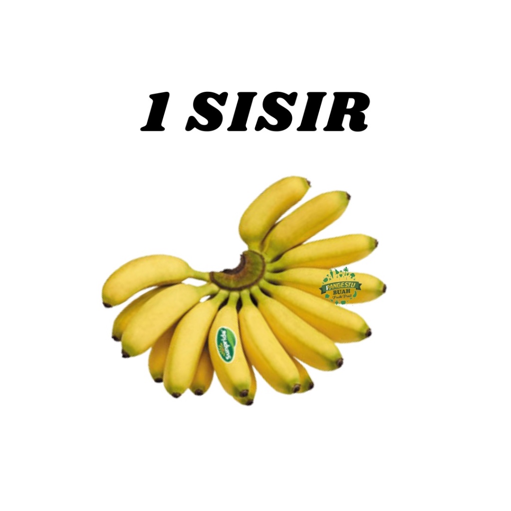 

PISANG MAS MANIS