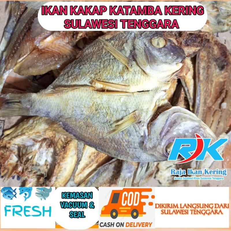 

Ikan Kering Kakap Katamba 500 gram Asli Sulawesi Tenggara